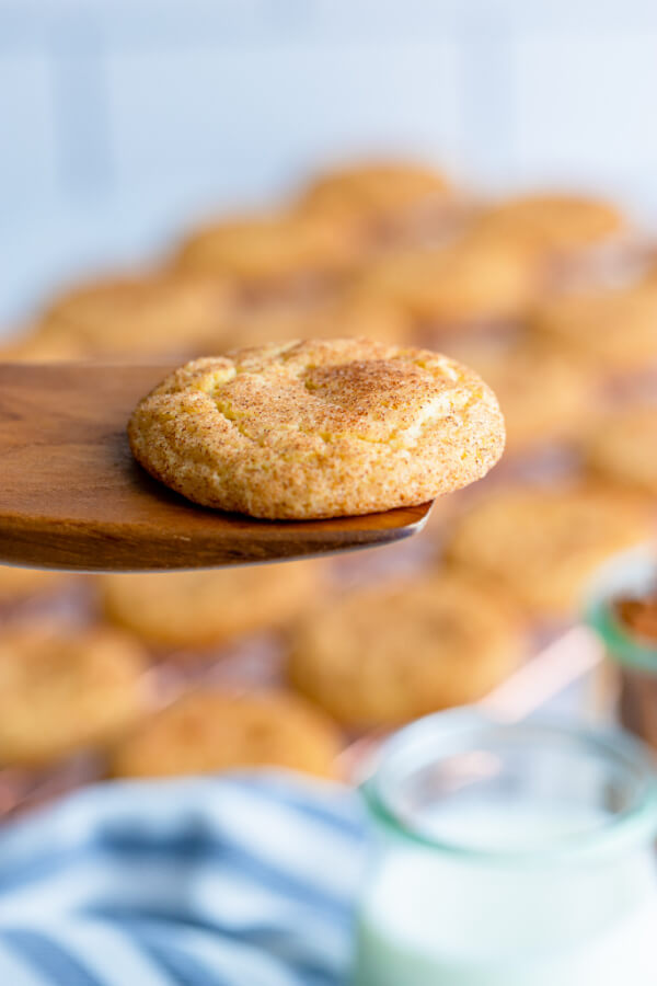 cookie on wooden spatula