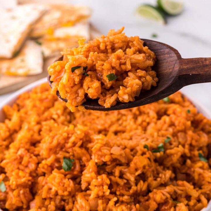 closeup of mexican rice on spoon