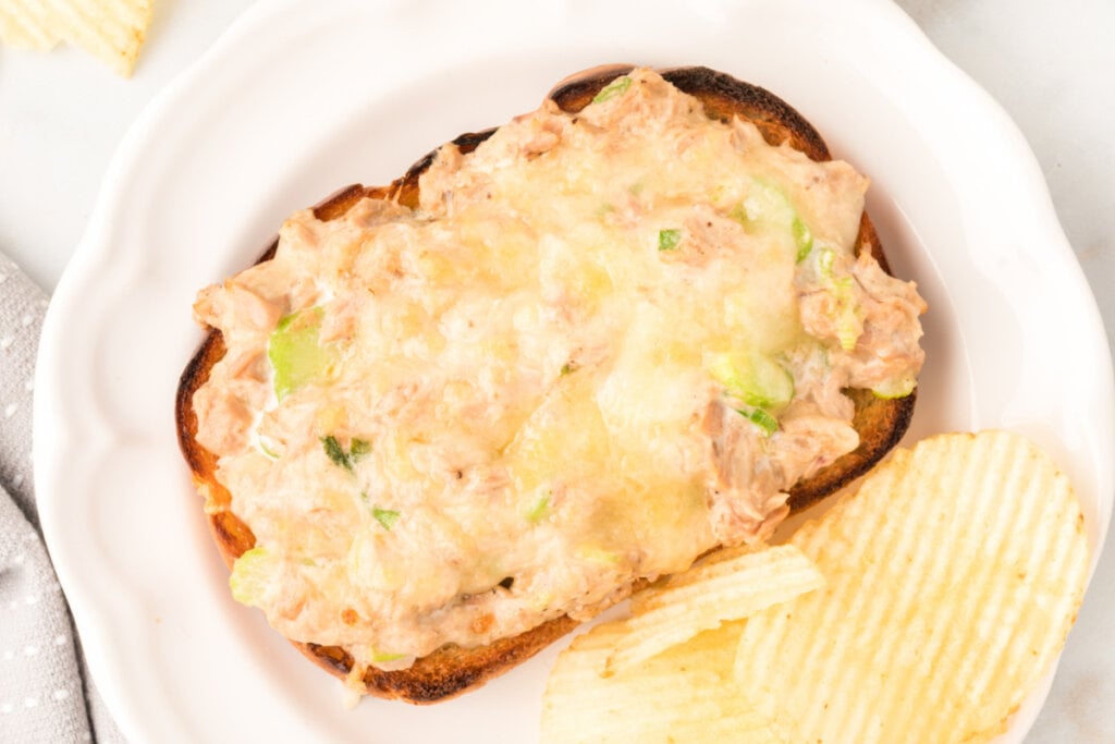 cheesy tuna melt on plate