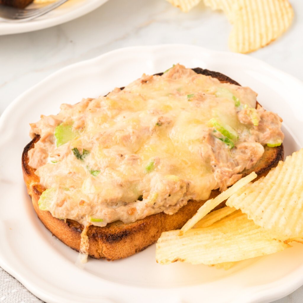 open face cheesy tuna melt on plate