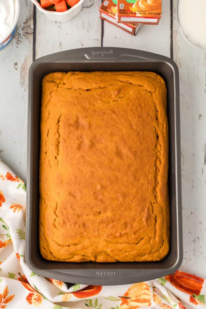 Fully baked pumpkin cake cooling in the pan