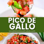 pico de gallo pin collage