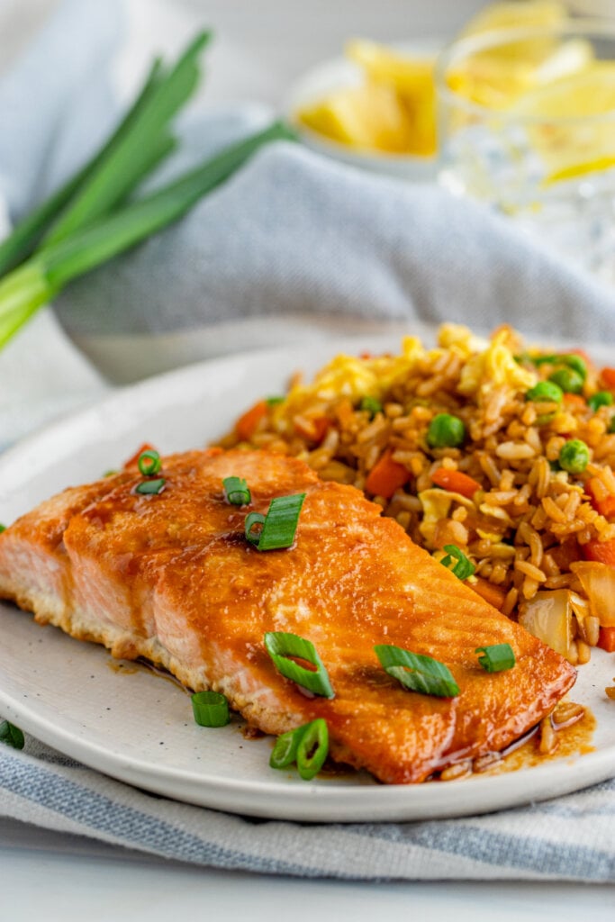 salmon and rice on plate