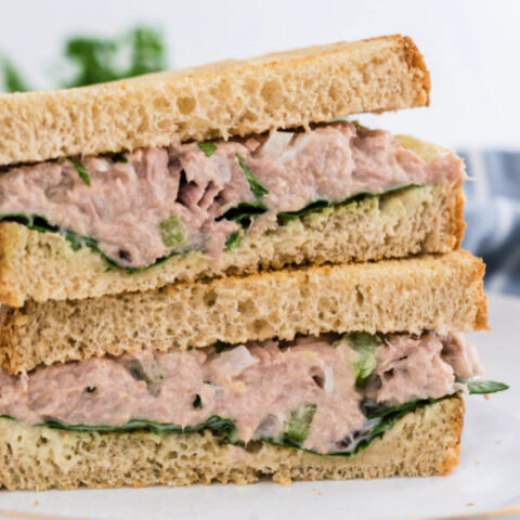 closeup of tuna salad sandwich