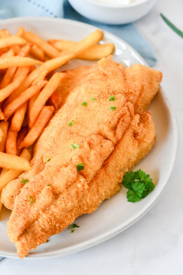 fried fish portion on plate with fries