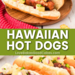 hawaiian hot dogs pin collage