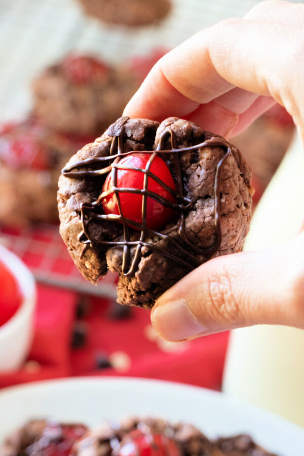 hand holding a cookie