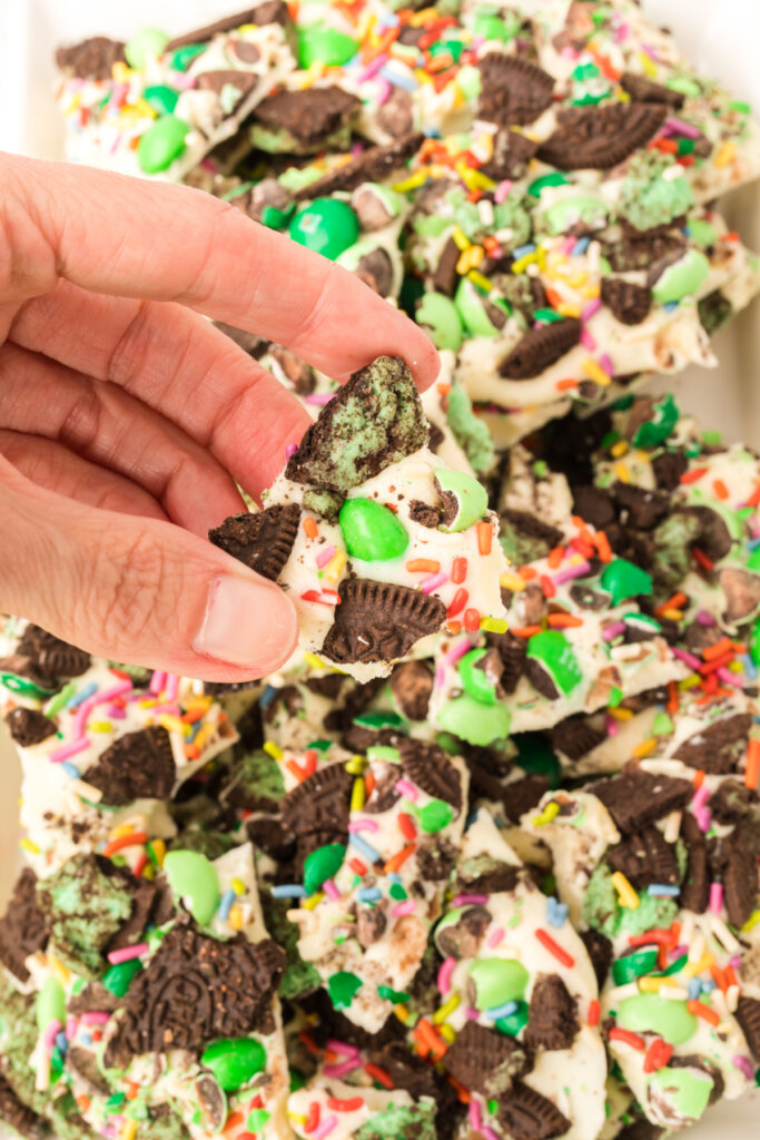 hand holding a piece of mint bark