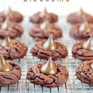Chocolate Blossoms