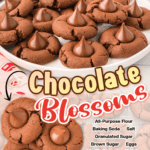 chocolate blossoms facebook collage 3