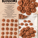 chocolate blossoms facebook collage 1