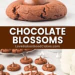 chocolate blossoms pin collage