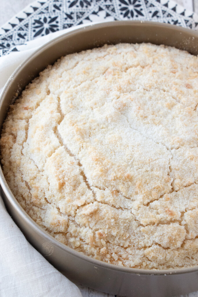 baked cake in the pan