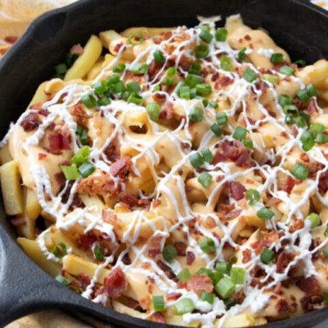 Loaded Bacon and Cheese Fries