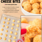 cheddar cheese bites facebook collage 1