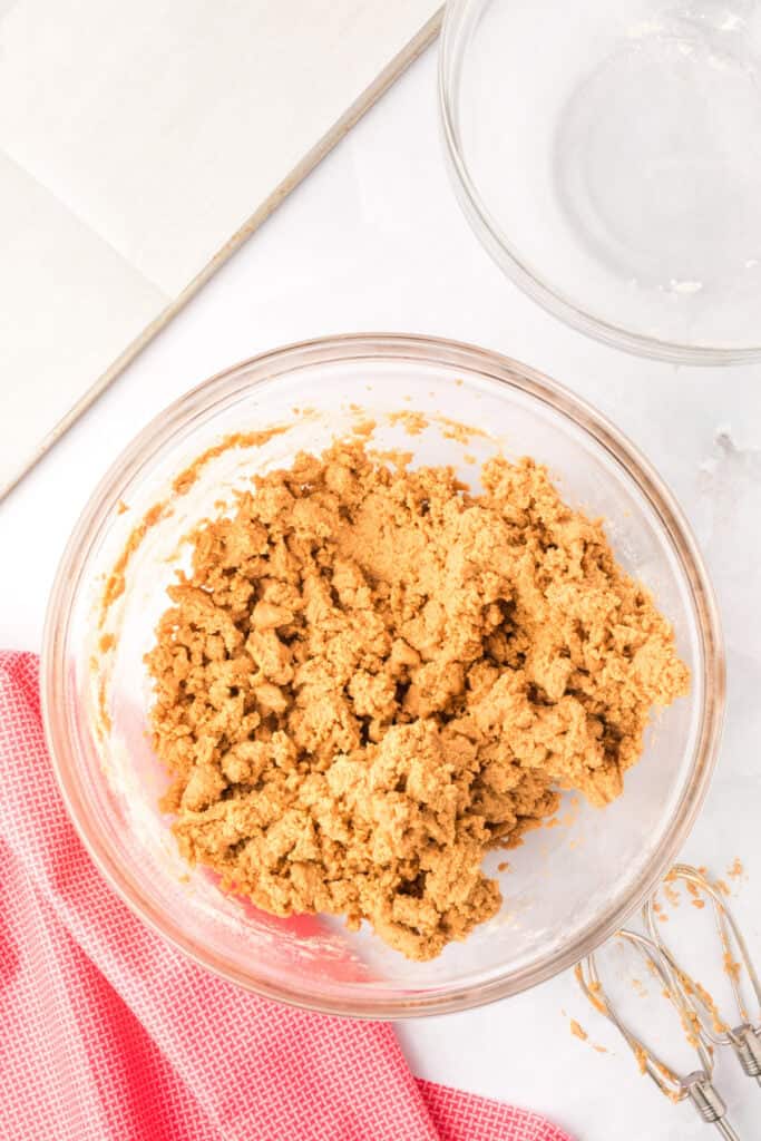 finished Biscoff Butter Cookies dough in a mixing bowl with a thick crumbly texture