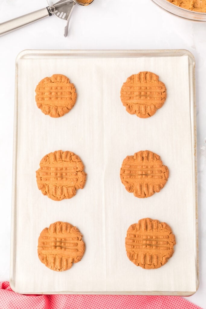 baked biscoff butter cookies with fork marks on parchment-lined baking sheet