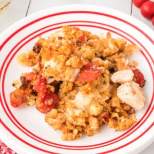 Square image of Chicken Bruschetta Bake on a white plate with red stripes, featuring chicken, tomatoes, melted mozzarella cheese, and golden stuffing topping.