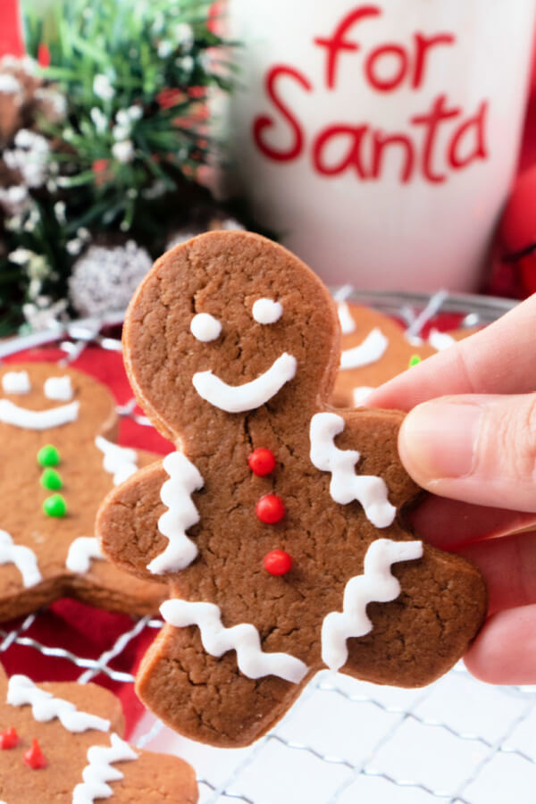 hand holding chocolate gingerbread man cookie
