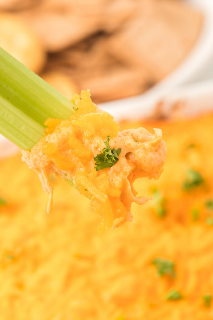 celery stick with buffalo chicken dip