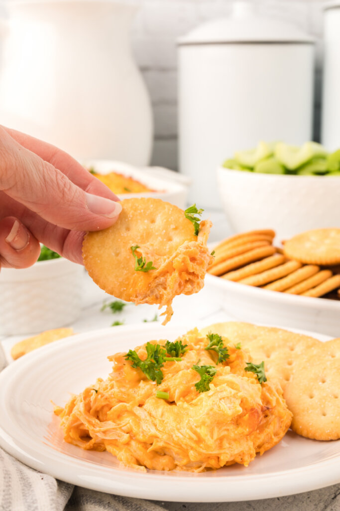 cracker scooping up buffalo chicken dip