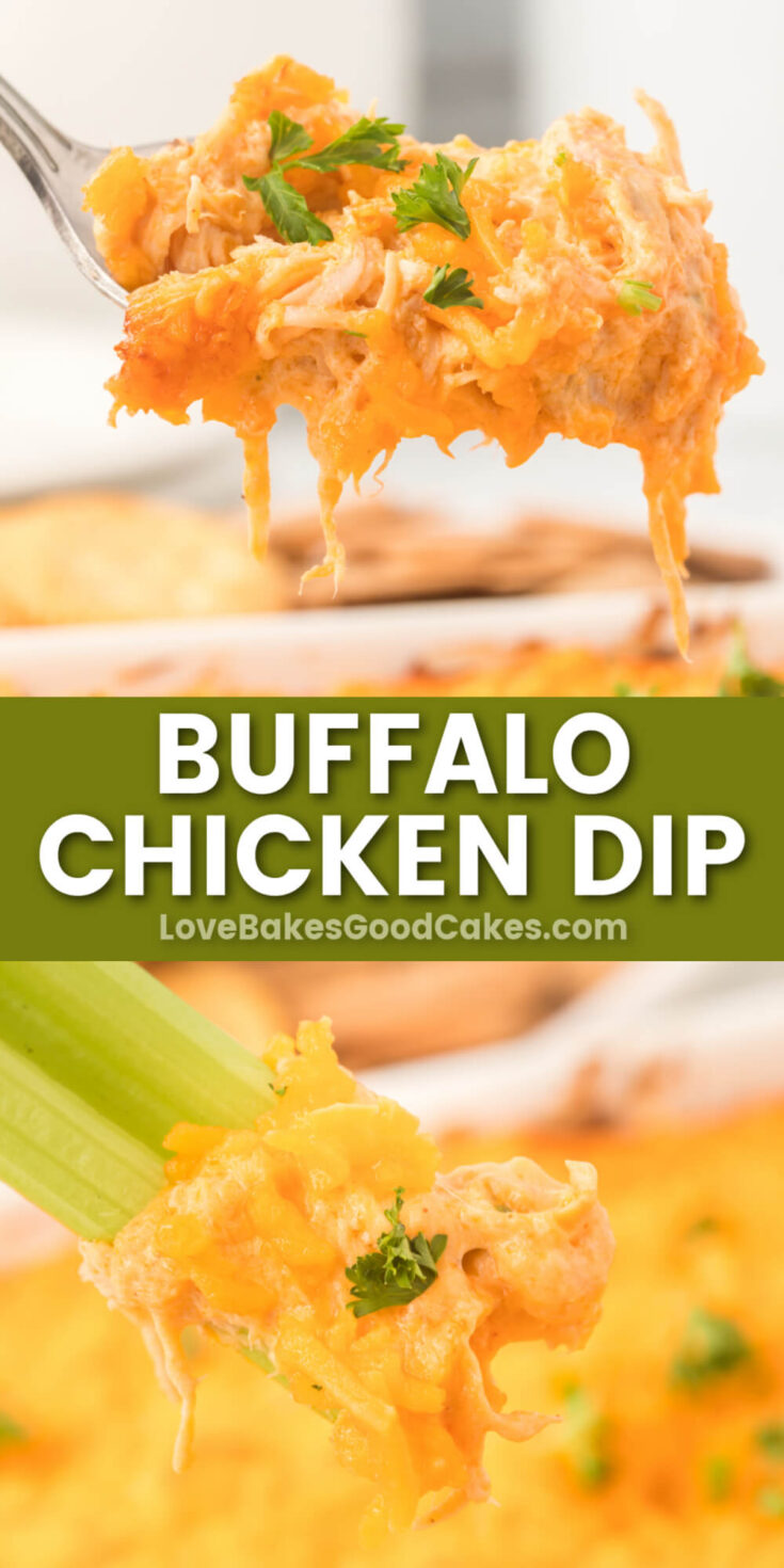 Buffalo Chicken Dip - Love Bakes Good Cakes