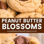 peanut butter blossoms pin collage