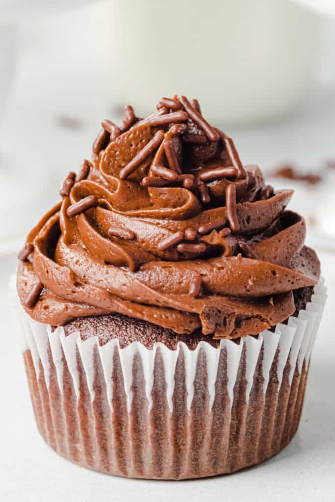 Close-up of a chocolate cupcake topped with chocolate buttercream frosting and chocolate sprinkles