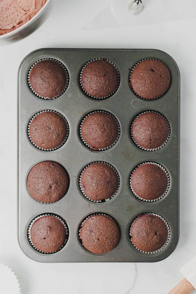 Freshly baked chocolate cupcakes cooling in a muffin pan