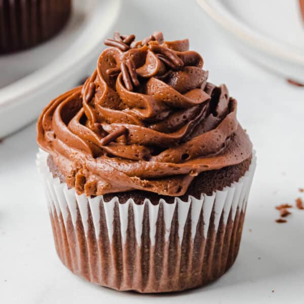 Close-up of a homemade chocolate cupcake topped with chocolate buttercream frosting and chocolate sprinkles