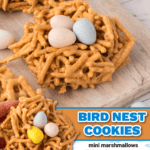 bird nest cookies facebook collage