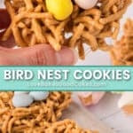 bird nest cookies pin collage