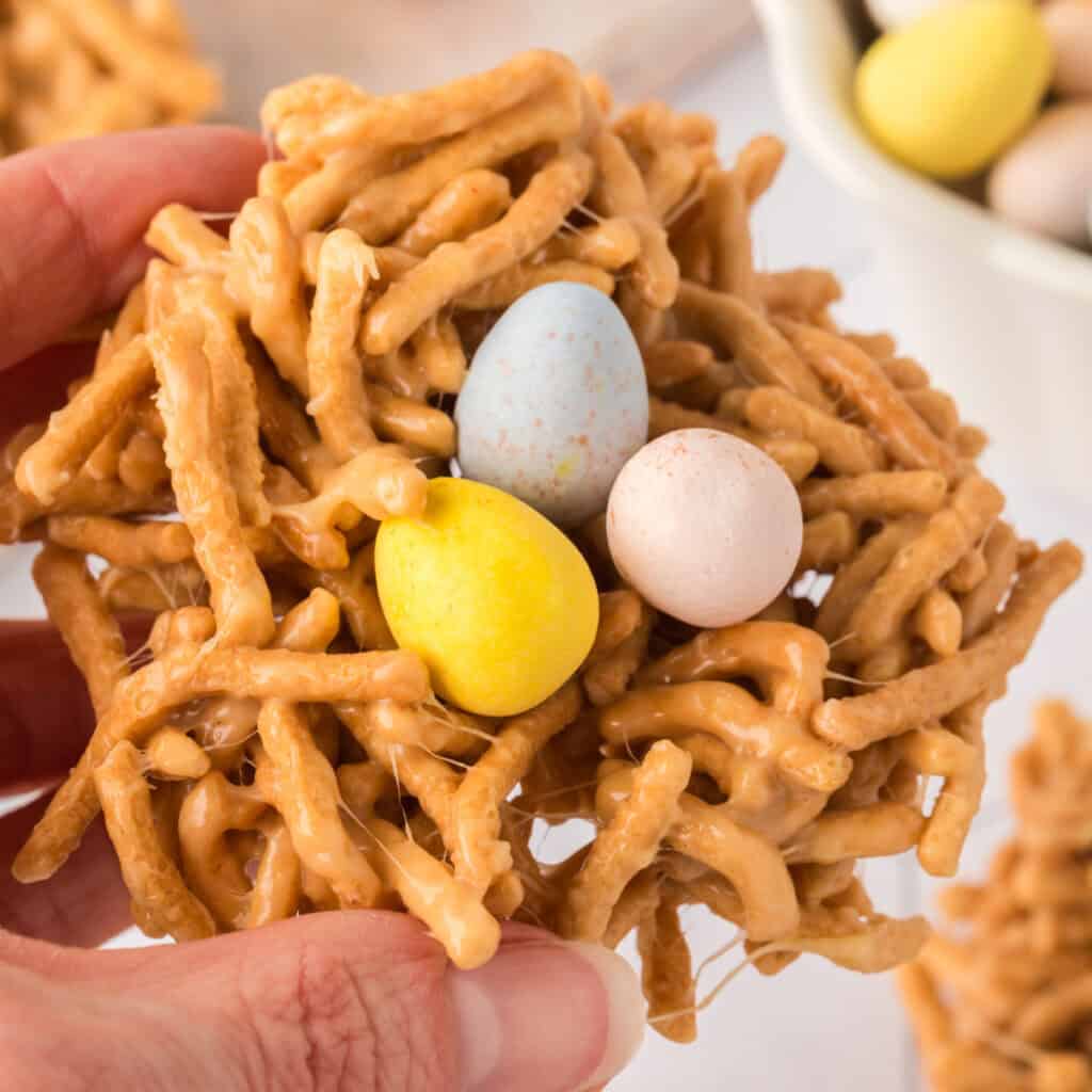 closeup of a hand holding a bird nest cookie