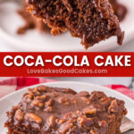 coca-cola cake pin collage