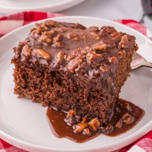 square of Coca-Cola Cake on plate