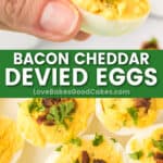 bacon cheddar deviled egg pin collage