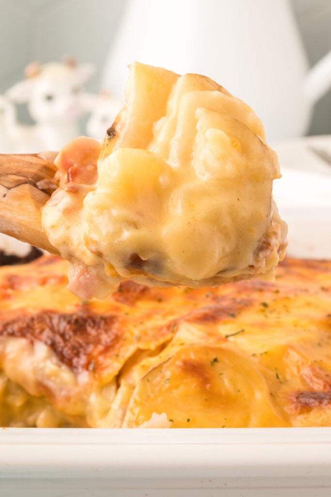 Cheesy Scalloped Potatoes and Ham