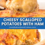 cheesy scalloped potatoes and ham pin collage