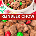 reindeer chow pin collage