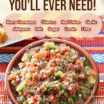 facebook collage for The Best and ONLY Fresh Salsa You'll Ever Need