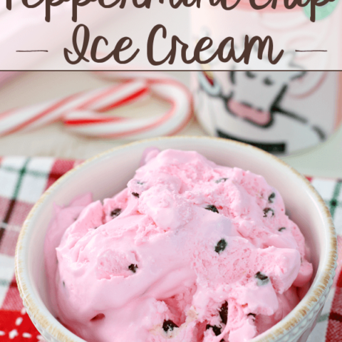 No-Churn Peppermint Chip Ice Cream in a bowl.