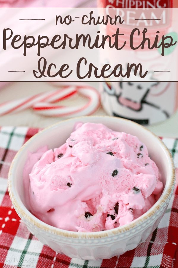 No-Churn Peppermint Chip Ice Cream in a bowl.