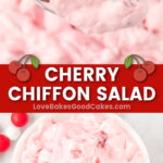 cherry chiffon salad pin collage