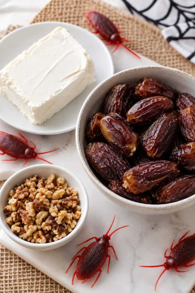 Ingredients for Halloween Stuffed Roaches with whole dates, cream cheese, chopped walnuts, and plastic cockroaches
