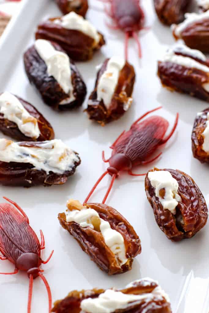 Close-up of cream cheese and walnut stuffed date cockroaches with plastic roaches for a creepy Halloween snack