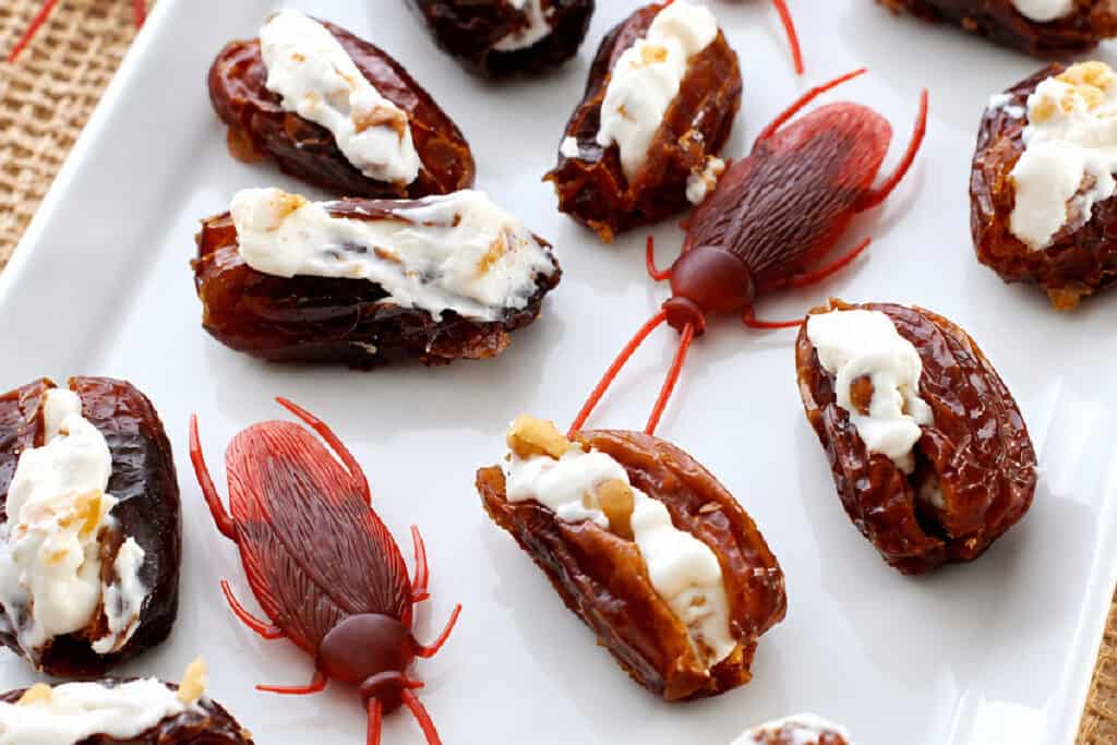 Stuffed date cockroaches with cream cheese and walnuts arranged beside plastic roaches on a white platter