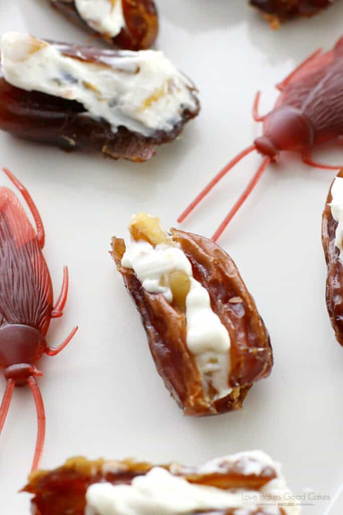 Close-up of a cream cheese and walnut stuffed date surrounded by plastic cockroaches for a creepy Halloween treat