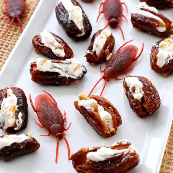Halloween date cockroaches filled with cream cheese and walnuts and displayed with red plastic roaches