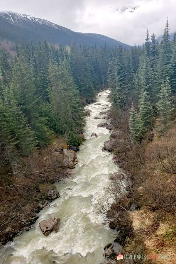 A rushing stream in a mountain setting.