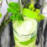 Add a tropical twist to the classic mojito with this Pineapple Mojito! This cocktail is the perfect refreshing adult beverage for summer!